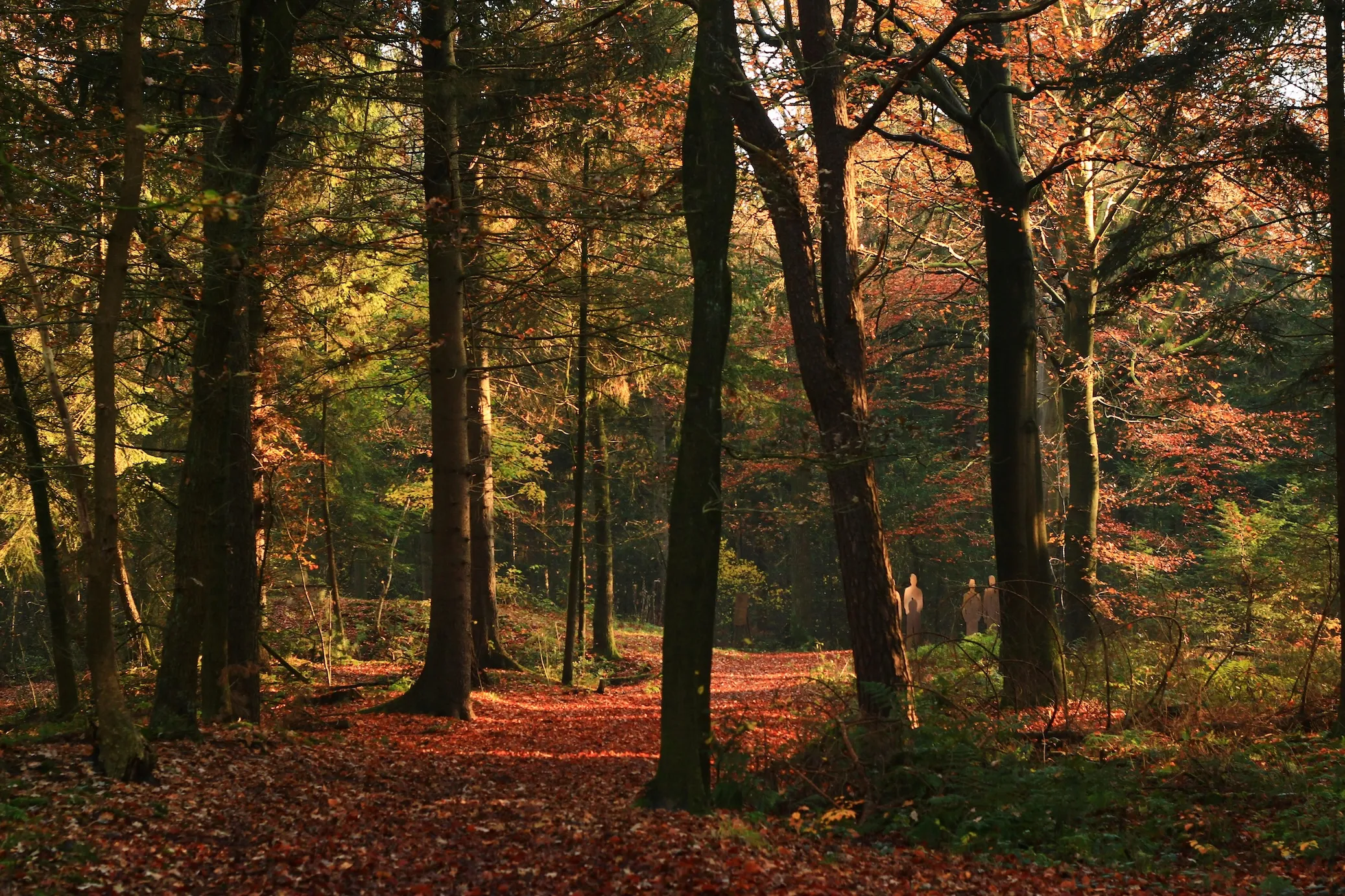 Omgeving Hoogeveen (Drenthe)