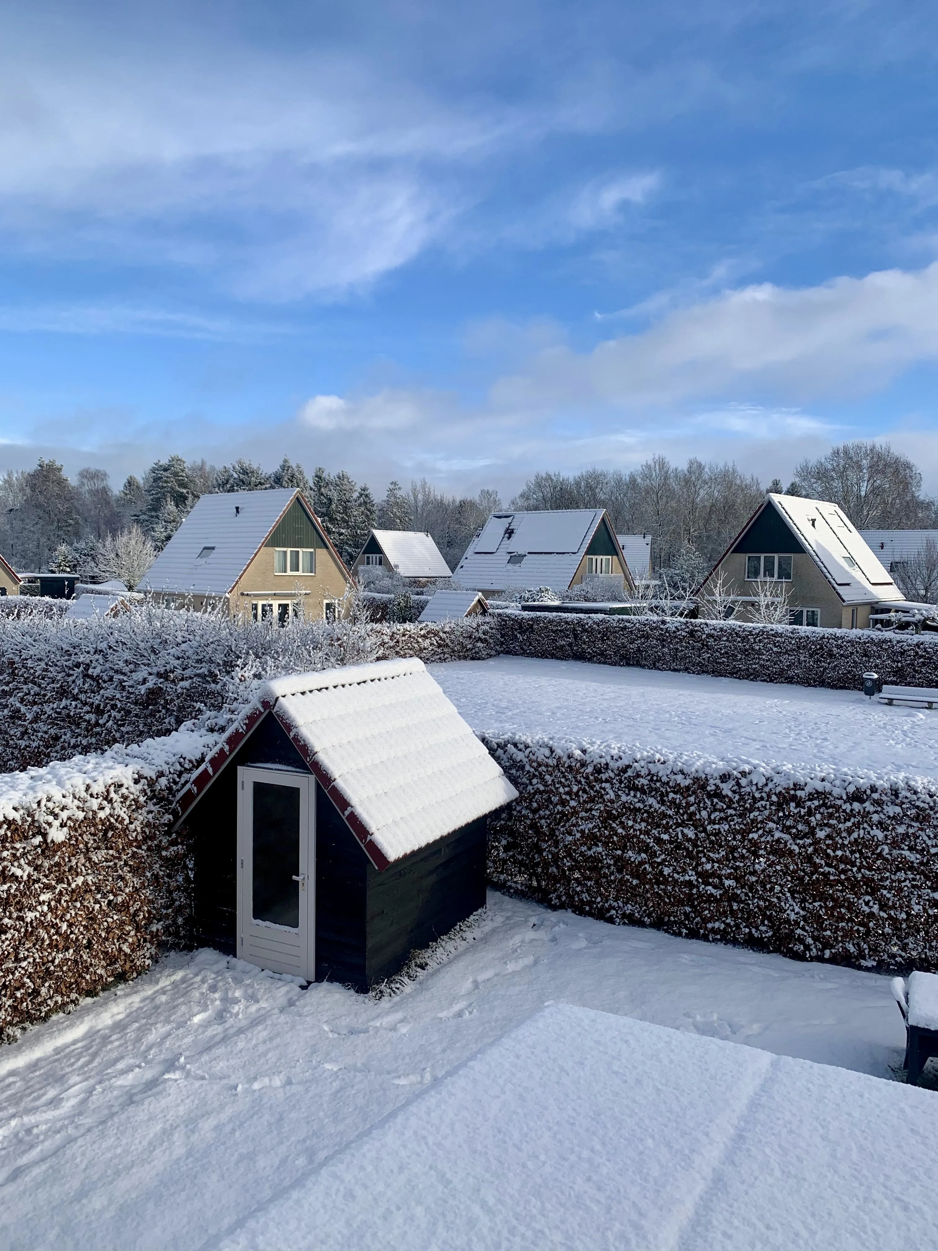 Achterzijde van het vakantiehuis in de sneeuw