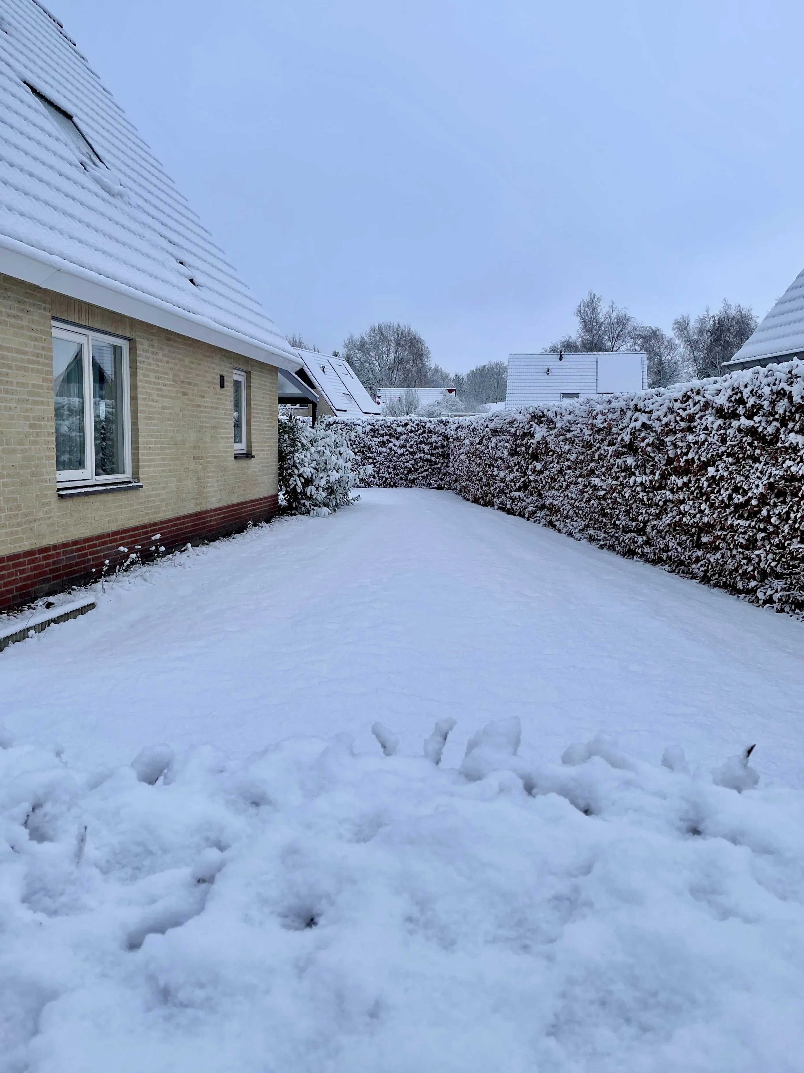 Zijkant en tuin van het vakantiehuis in de sneeuw